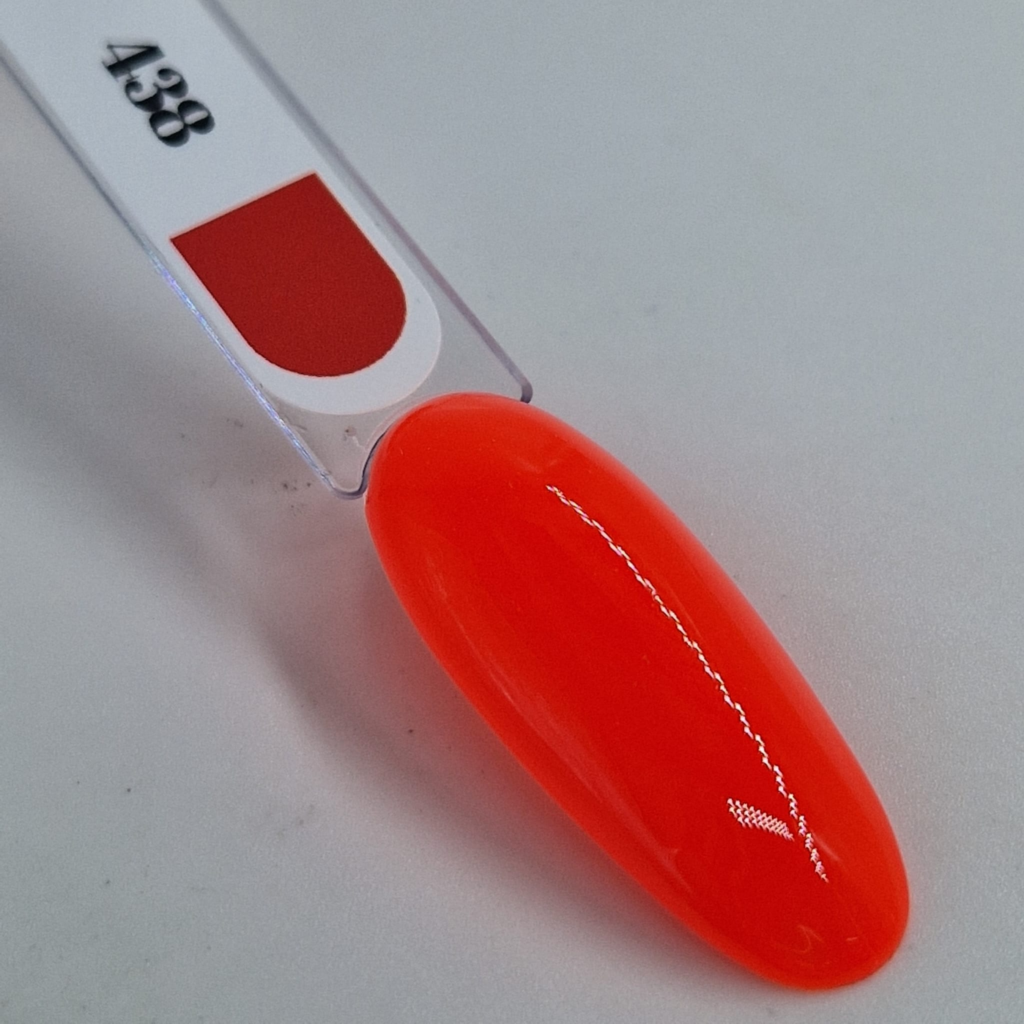 438_FLUO.jpg